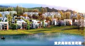 德陽市公眾信息網(wǎng) 數(shù)字化服務(wù)與網(wǎng)絡(luò)科技融合的典范